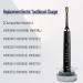 Compatible Replacement Charger Base for Philips Sonicare Electric Toothbrushes HX9100 Series - Buy Online on GoSupps.com