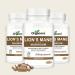 ORGACORE Real Lion s Mane Mushroom Extract Capsules (120 Count) Hericium Erinaceus with Beta Glucans Brain & Immune Support Supplement for Memory Focus & Overall Cognitive Health - Buy Online on GoSupps.com