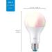 WiZ Connected Color High Lumen 100W A21 Smart WiFi Light Bulb  16 Million Colors  Compatible with Alexa and Google Home Assistant  No Hub Required  1 Bulb A21 Color 1 Count (Pack of 1) - Buy Online on GoSupps.com