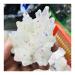 Natural Crystal Rough Crystal Natural White Angel Aura Crystal Cluster Electroplating Titanium Coating Quartz Cluster Stone (Size : 160-200g)