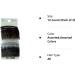 Scunci Side Hair Combs Assorted 12 ea (Pack of 3) - Effortless Beauty - Buy Online on GoSupps.com