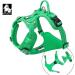 Truelove No Pull Dog Harness - Reflective Adjustable Soft Padded Vest with Control Handle - TLH56512m Green | Buy Internationally - Buy Online on GoSupps.com