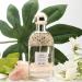 Women's Perfume Flower fruit fragrance Fresh natural lasting Eau de Toilette (Large Mint grass) 3.4 Fl Oz (Pack of 1) Mint grass - Buy Online on GoSupps.com