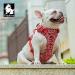 Buy Winhyepet Truelove No-Pull Dog Harness | Breathable Cotton Reflective Adjustable for Small & Medium Dogs - TLH5655 XL Poppy Red - Buy Online on GoSupps.com