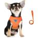 Buy Femax Dog Harness & Linen Set - Soft Mesh Padded for Puppies & Cats Reflective Adjustable Breathable Breastplate for Walking Running Training - XS (26-29 cm) Orange - Buy Online on GoSupps.com