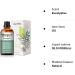 PHATOIL Eucalyptus Essential Oil 30ML - Premium Grade Pure Oil for Diffusers, Aromatherapy, and Candle Making - Buy Online on GoSupps.com