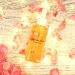 DERMA-E SunKissAlba Radiant Glow Facial Oil - 2 fl oz | Antioxidant Blend with Jojoba, Argan & Seabuckthorn Oils | Body & Hair - Buy Online on GoSupps.com