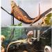 QUUPY 2 Reptile Hammock Set Triangle Breathable Net Breathable Mesh Lizard hammock for Large and Small Bearded Dragons Anoles Geckos Lizards or Snakes 33x33x48cm Black - Buy Online on GoSupps.com