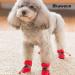 AblePet Small Dog Cat Boots - Anti-Slip Booties with Adjustable Strap, Reflective Strip - Premium Paw Protector (4Pcs, Black) - Buy Online on GoSupps.com