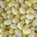 Buy Jelly Belly Buttered Popcorn 70g - Delicious Gourmet Candy for International Shipping - Buy Online on GoSupps.com