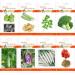 antipasto di Verdure 8 Estate Kit-2 con il seme + 40 crescenti Coppe + crescente del suolo