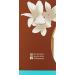 Coola Sunless Self Tanner Kabuki Body Brush - Organic Tanning Lotion Applicator - Buy Online on GoSupps.com