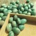 Polished amzon Palm Stone Crystal Tumble for Decoration 200g Stone Mineral Specimen - Buy Online on GoSupps.com