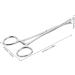 COLLBATH Reptile Feeding Clip Bearded Dragon Feeding Tongs Snake Tong Stainless Steel Silver - Buy Online on GoSupps.com