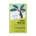 Floradix Organic Mate Herbal Tea 15 Bags