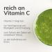 VEGAN FLOW Raw Organic Barley Grass Juice Powder 250g - Additive-Free Green Smoothie Powder for Health & Wellness - Buy Online on GoSupps.com
