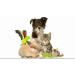 Phoenix Enzyme Cleaner for Cat Urine Removal - 20g Sealed Bag | Effective Odor Eliminator for Pet Stains - Buy Online on GoSupps.com