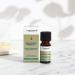 Tisserand Marjoram French Essential Oil 9ml - Ethically Harvested - Buy Online on GoSupps.com