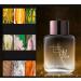 Cologne for Men Fragrances for Men with Pheromones Pheromone Cologne for Men Premium and Long-Lasting Scent for Men At-ta-ct Women Show off Your Handsome Charm Long Lasting Romantic Perfume (B) - Buy Online on GoSupps.com