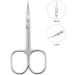 LIVINGO Premium Stainless Steel Manicure Nail Scissors | Multi-purpose Cuticle Grooming Kit for Eyebrow, Eyelash, Dry Skin | Curved Blade 3.5 inch Silver - Buy Online on GoSupps.com