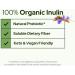 Organic Inulin (FOS Powder) 500g by Plant of Life | Daily Water Soluable Prebiotic Fiber | Superfood for Colon & Gut | Easily Mix with Drinks Coffee & Smoothies | Vegan Non-GMO - Buy Online on GoSupps.com