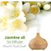 Jasmine (Jasminun officinale) 100% Natural Pure Carrier Oil 50ml - Buy Online on GoSupps.com
