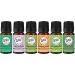 Wild Essentials Top 6 piece Single Note Essential Oil Set -100% Pure Therapeutic Grade Aromatherapy Kit with Lavender Eucalyptus Tea Tree Orange Lemongrass Peppermint - 10ml Made in The USA