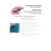 Mailfix Soft Feet Foot Cleaner | Pumice Stone & Callus Remover for Ultimate Foot Care - International Shipping - Buy Online on GoSupps.com