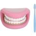Dental Care Model with Toothbrush & 28 Teeth - Children's Educational Mouth Puppet for Teaching & Studying - Buy Online on GoSupps.com