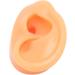 Silicone Fake Acupuncture Ear Model - Waterproof & Flexible for Earrings Display (Right) - Buy Online on GoSupps.com