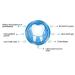 1100PCS Double-Headed Toothpick Set - Teething-Gripped Dental Picks with Storage Box for Oral Care (Blue) - Ideal for International Shipping - Buy Online on GoSupps.com