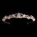 Araluky Rhinestone Crown Crystal Bridal Tiara - Princess Crown for Women and Girls - Rose Gold - Buy Online on GoSupps.com