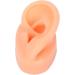 Silicone Ear Model - Soft Simulation Hearing Tool for Sound Aid Display (Left Ear) - Fleshcolor with Black Stand - 1 Count - Buy Online on GoSupps.com