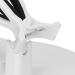 Nail Polish Organiser Nail Polish Bottle Holder Reclining Nail Polish Holder Adjustable Auxiliary Nail Painting Tools for Nail Salons Nail Schools(WHITE) - Buy Online on GoSupps.com