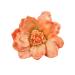 xbiez Girls Bangs Clip Oversized Camellia Headdress Hair Accessories Oversized Flower Bright-coloured Rose Flower Hairpin Coral Red