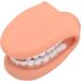 Mouth Hand Puppet - Educational Dental Care Model with Tongue for Children s Learning - Buy Online on GoSupps.com