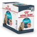 Royal Canin Urinary Care Wet Adult Cat Pouches 85g (Pack of 24)