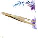Tweezers Eyelashes Extension Clip Eyebrow Clip Flat Extend medium Golden - Buy Online on GoSupps.com