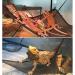 QUUPY 2 Reptile Hammock Set Triangle Breathable Net Breathable Mesh Lizard hammock for Large and Small Bearded Dragons Anoles Geckos Lizards or Snakes 33x33x48cm Black - Buy Online on GoSupps.com