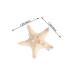 Handmade Natural Sea Star Hair Clips - Set of 2 | Cute Starfish Hair Pins for Girls, Kids & Women | Random Size - Buy Online on GoSupps.com