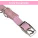 BINGPET Adjustable Soft Velvet Cat Collar with Bells - Light Pink Bling Diamante | Safe and Stylish - Buy Online on GoSupps.com