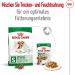ROYAL CANIN Mini Ageing 12+ | Double Pack | 2 x 12 x 85 g | Complete Food for Senior Small Breed Dogs | Can Help Support Kidney Health in Dogs | in Gravy - Buy Online on GoSupps.com