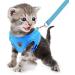 Femax Dog Harness & Linen Set | Soft Mesh Padded Dishes for Puppies & Cats | Adjustable Reflective Breathable Vest for Walking & Training (35-40 cm Breast) - Azure - Buy Online on GoSupps.com