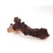 TM Aquatix Aquarium Wood Decoration Premium Pieces 100% Natural (40-50cm Mopani) - Buy Online on GoSupps.com