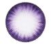 Matlens -Per trend colored contact lenses with starch purple Violet Extra Big Eyes WAN -A81 CIRCLE LENS 2 lentils 1 contact lens container 1 care product 50ml -4.75 Dioptries 8.7 millimeters 2