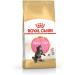 Royal Canin Maine Coon Kitten Dry Cat Food 4 x 400g - Buy Online on GoSupps.com