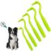 Tranquilique 5 PCS Tick Remover Tick Remover Tools for Dogs Cats Humans Flea Treatment Cat Entire Head & Body Pain-Free Tick Remover for Professional & Home 1.93+2.44+2.5inch 5/Pcs green - Buy Online on GoSupps.com