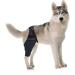 Didiseaon Knee Puppy Dog Foreleg Leg Supplies Dog Foreleg Leg Sets Pet Rear Bracket S As Shown - Buy Online on GoSupps.com