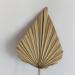 NAABHIKA 5/10 Pcs Boho Dried Palm Spears Natural Dried Palm Fans Dried Palm Leaves Dried Palm Leaf Palm Fan Leaf with Stem-Khaki 5PCS - Buy Online on GoSupps.com