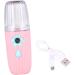 MAGICLULU 2 Pack Moisturizing Facial Humidifier Nano for Skin Hydration Pot Facial Steamer Mist Hydrating ABS Rose Facial Spray - Buy Online on GoSupps.com